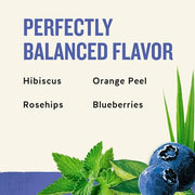 Celestial Seasonings Blueberry / 20 Count (Pack of 3) / 3 Herbal