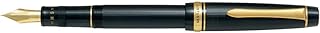 Pilot Fountain Pen Justus 95 Fine Medium Nib - Stripe Black - (FJ-3MR-SB-FM)