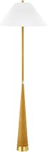MITZI HUDSON VALLEY LIGHTING Indie - 1-Light Floor Lamp - 64 Inches Tall and 21 Inches Wide
