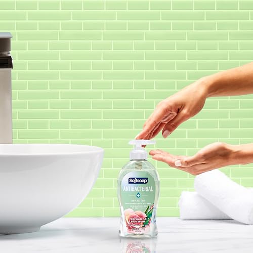 Softsoap Rosewater & Aloe / 11.25 Fl Oz (Pack of 6) / Clear Hand Wash