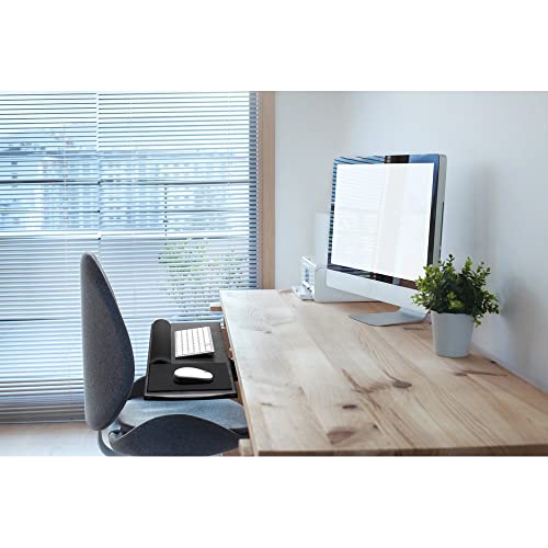 Kensington White / Modern / 1 Mice