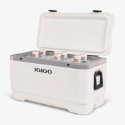 Igloo Cooler, White - photo 3