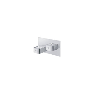 Zurn Elkay EDFP217RAC Stainless Steel Drinking Fountain, 19 3/8" x 38 1/2", Silver - Default Title
