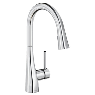 Zurn Elkay Brass Faucet - Chrome