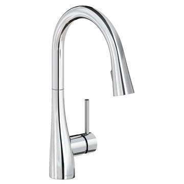Zurn Elkay Brass Faucet - Chrome
