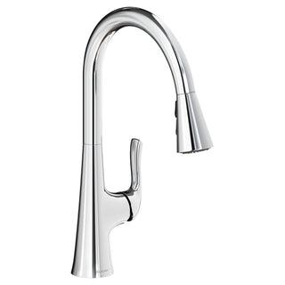 Zurn Elkay Brass Faucet - Chrome
