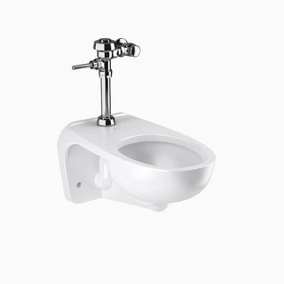 Sloan 24501001 China Toilet, 15" Wide - Default Title