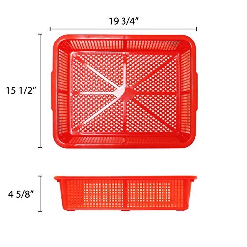 Thunder Group 550mm / Red / Classic Colanders