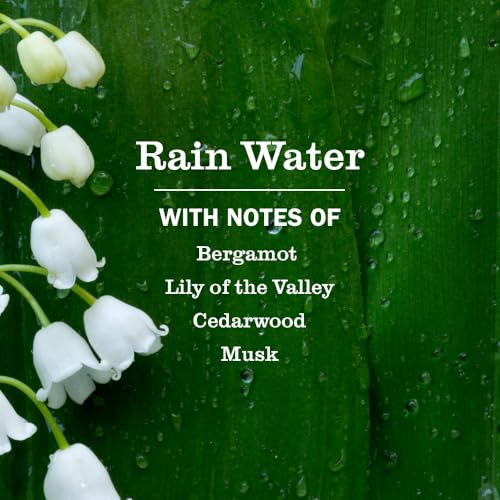 Mrs. MEYER'S Rain Water / 12.5 Fl Oz (Pack of 1) / White Hand Wash