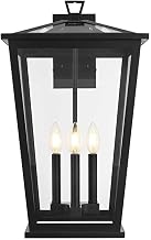 Elegant Lighting Berks 12.5" Outdoor Wall Sconce in Black