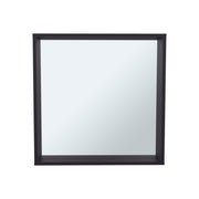 24" Plains Medicine Cabinet by DEPOT E-SHOP – Engineered Wood, Black Wengue, Model DE-GLW11580