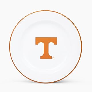 Crow Canyon Home University of Tennessee (UT) Volunteers Enamelware Dinner Plate