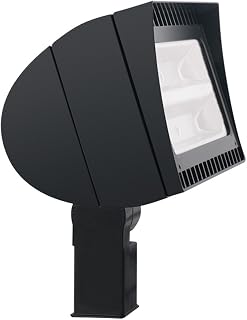 RAB Lighting FXLED150SF Outdoor, Bronze