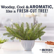 Mrs. MEYER'S 12.5 Ounce (Pack of 2) / Pine / 2 Hand Wash