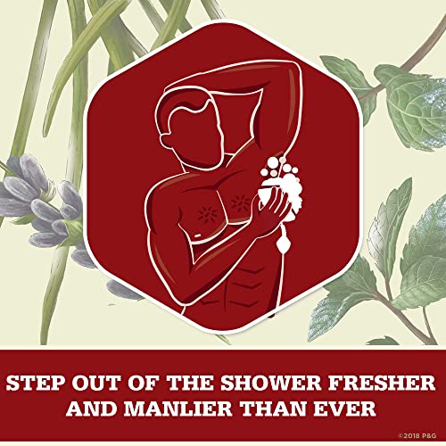 Old Spice 16 Fl Oz (Pack of 1) / Citron / White Body Washes