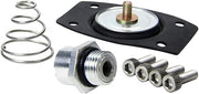 Allstar Performance Rebuild Kit for ALL40290