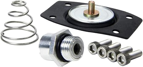 Allstar Performance Rebuild Kit for ALL40290