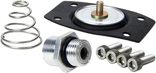 Allstar Performance Rebuild Kit for ALL40290