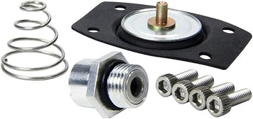 Allstar Performance Rebuild Kit for ALL40290