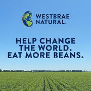 Westbrae Natural Organic Black Beans / 15 Ounce (Pack of 4) / 3.75 LBR (Pack of 1) Black Beans