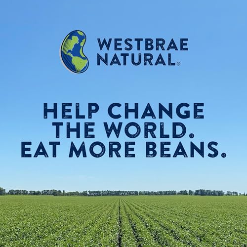 Westbrae Natural Organic Black Beans / 15 Ounce (Pack of 4) / 3.75 LBR (Pack of 1) Black Beans