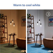 PHILIPS ST19 / Multicolor + Tunable White / 1 LED Bulbs