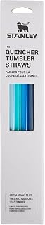 STANLEY Quencher Tumbler Straws | Reusable Replacement Straws for Tumbler with Handle | Stainless Steel Drinking Cup Accessory | BPA-Free