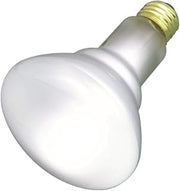 Satco Products S2817 120-Volt 65BR30 Flood Light Bulb, 2-Pack