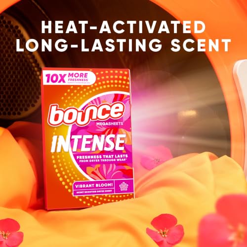 Bounce 80 Count (Pack of 1) / 1 Dryer Sheets