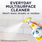 Pledge 25 Ounce (Pack of 3) / Citrus / 25 Ounce All-Purpose Cleaners