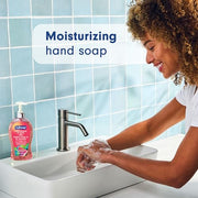 Softsoap Watermelon & Mint / 11.25 Fl Oz (Pack of 6) / Pink Hand Wash