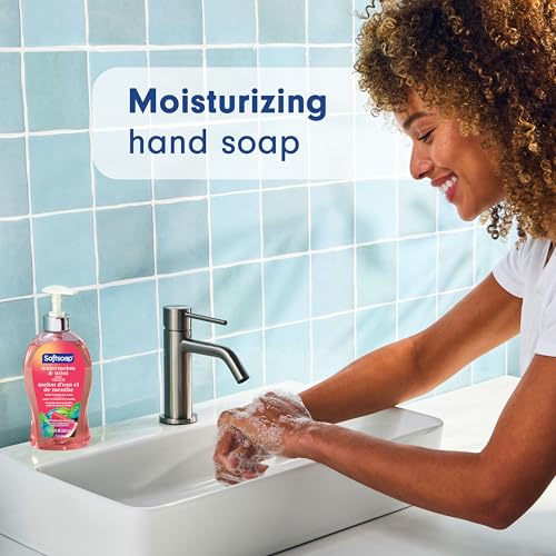 Softsoap Watermelon & Mint / 11.25 Fl Oz (Pack of 6) / Pink Hand Wash
