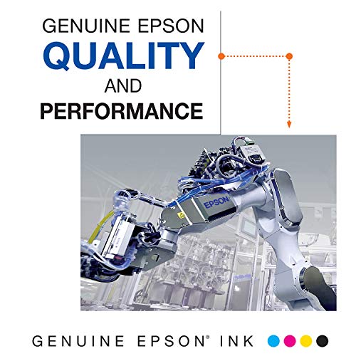 Epson Black / High Capacity (2 Pack) / High Yield Inkjet Ink Cartridges