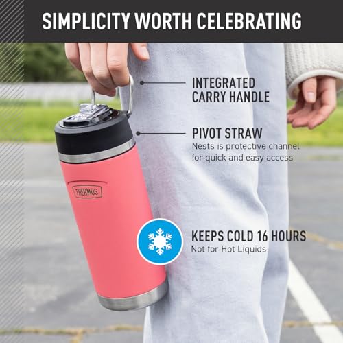 THERMOS 18 Ounces / Navy / Straw Thermoses