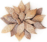 Silikomart VOILA' Cookie - Leaves - Shapes Leaves 240X150 H 20 MM