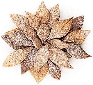 Silikomart VOILA' Cookie - Leaves - Shapes Leaves 240X150 H 20 MM