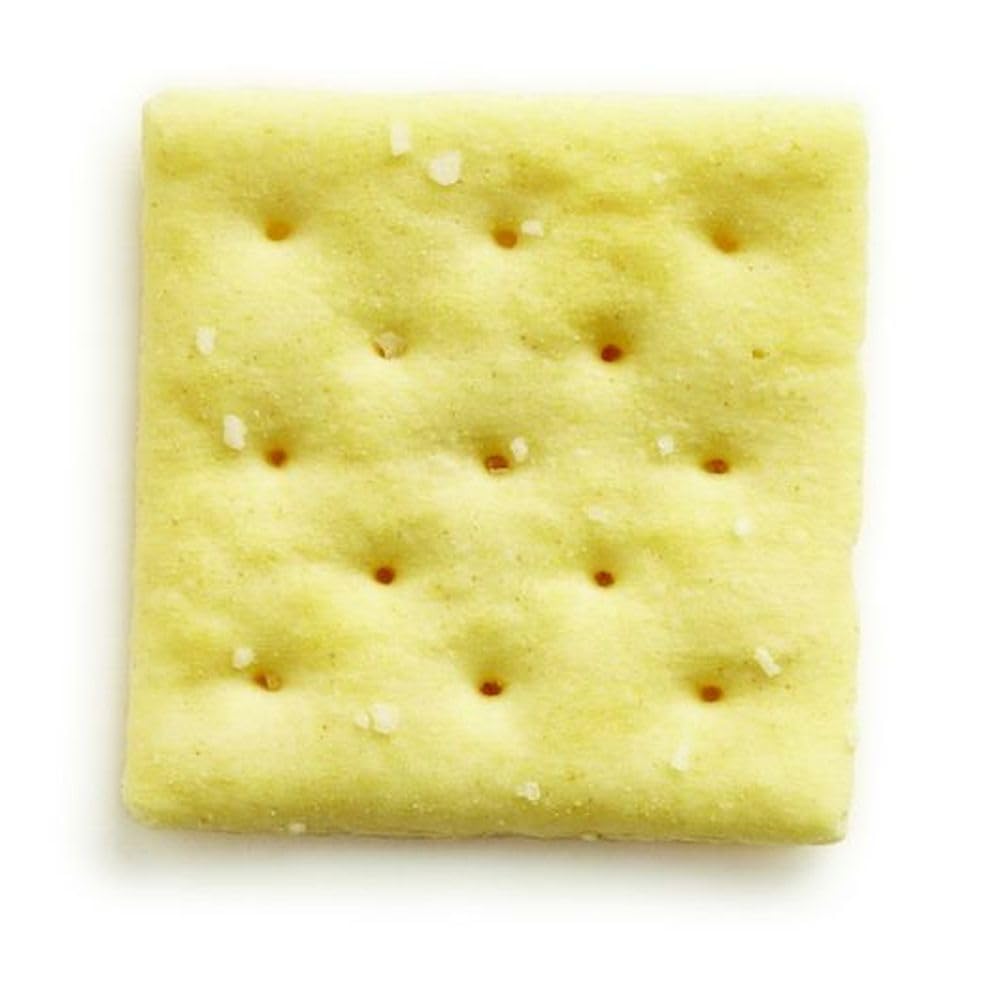Westminster Saltines Crackers -- 500 per case. by WESTMINSTER BAKERS CO. – 500 Count (Pack of 1), Pack of 500