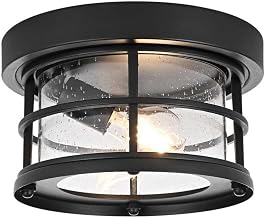 Elegant Lighting Carla 10" Outdoor Flush Mount in Black