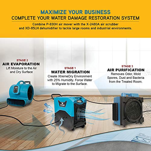 XPOWER 15.9" x 18.7" x 18.7" / Pro P-830H / Blue Air Dryers, Blowers & Blades