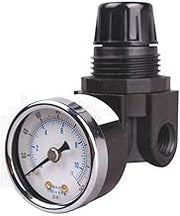 Mini Air Regulator R262g, Glass Filled Nylon, 1/4" Npt, 250 Psi