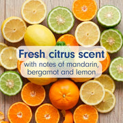 Softsoap Fresh Citrus / 11.25 Fl Oz (Pack of 6) / Blue Hand Wash