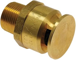 Rheem SP623336 Vacuum Relief Valve