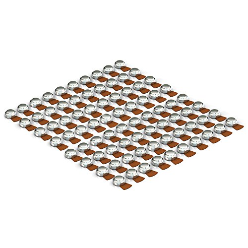 Rayovac 1 / 80 Count (Pack of 1) / 312, 80 Free Batteries & Chargers