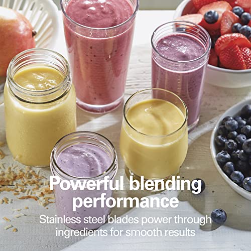 Hamilton Beach Blue / 14 oz. BPA-free travel jar (Pack of 4) / 1 Jar Small Appliances
