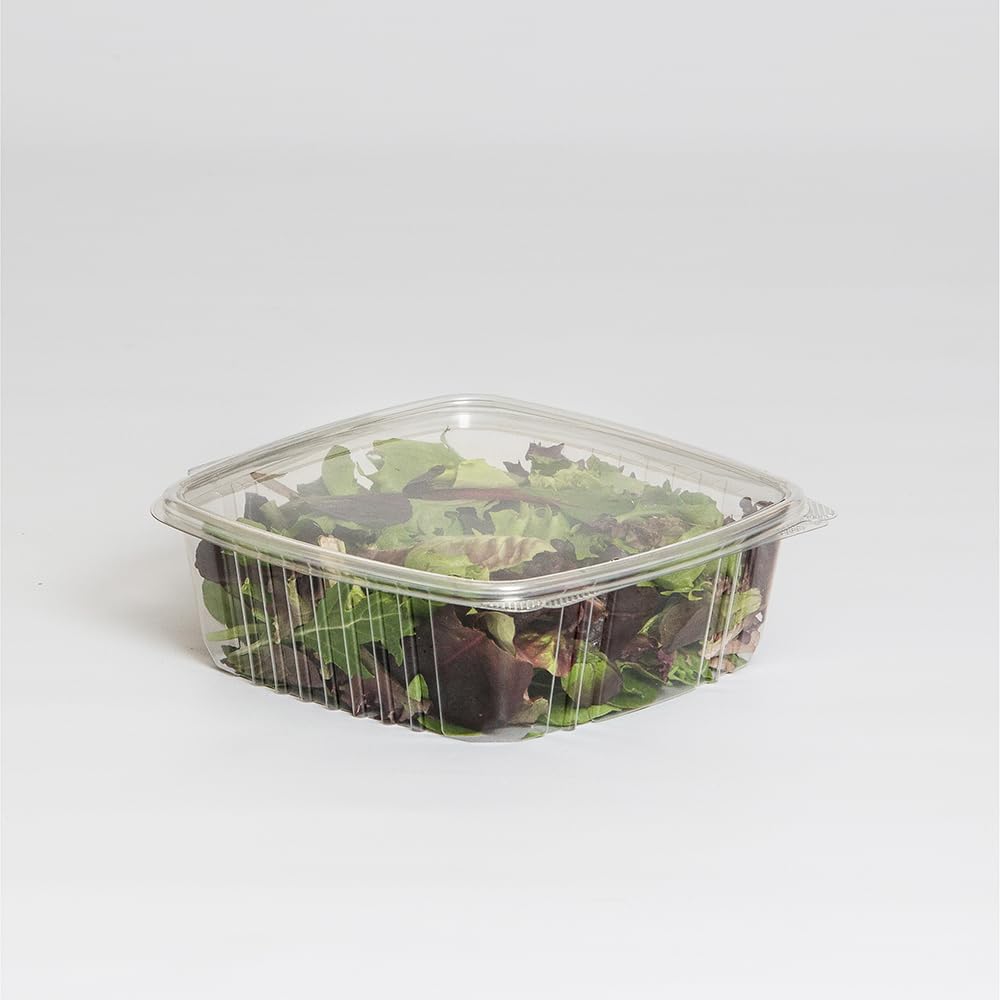 48 oz. (3/4 Gallon-Size) RPET Clear Plastic Hinged Lid Deli Meal Prep Fruit Salad Display Food Storage Containers | 200/Case by KODA CUP – 48 oz, 48.0 ounces, Model RPTHLD48