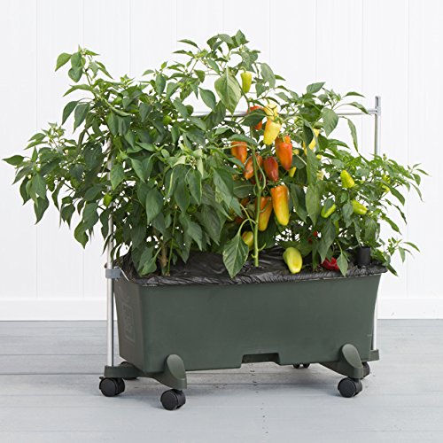 System, Green, 3 ft. Garden Stakes, 3-Foot by EarthBox – 3-Foot, Stainless Steel, Green, Pack of 12, Model 81031.06