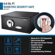 Barska Black / 0.29 Cu Ft / Front Opening Standard Cabinet Safes