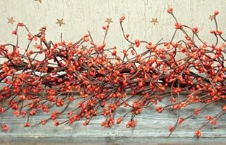 CWI Gifts 4Ft Pumpkin Pip Berry Garland