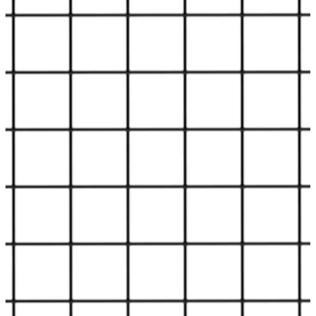 Machine Wire Guard Panel by Global Industrial – 10 Gauge Welded Wire, Black, Model #BACK95U