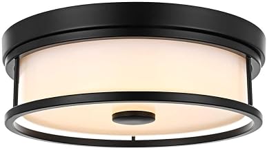Kolson 12" Led Flush Mount in Black